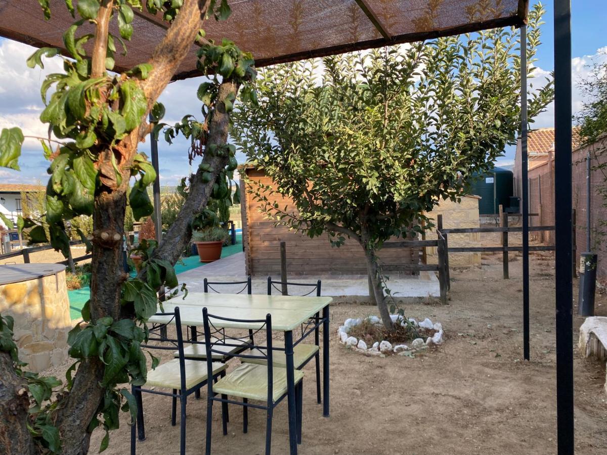Alojamiento Rural Setenil Setenil De Las Bodegas 외부 사진